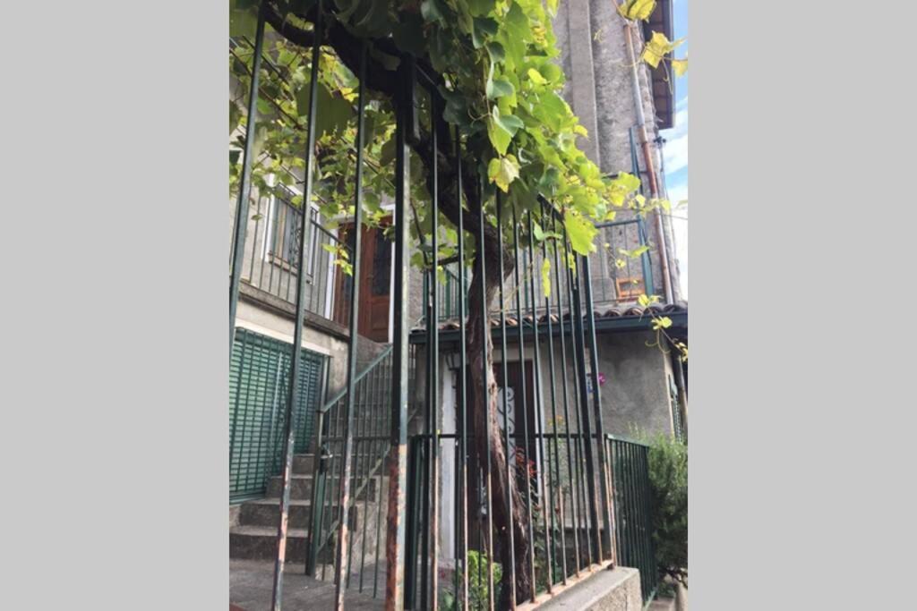Nel Set Di Piccolo Mondo Antico Villa Viola Valsolda Eksteriør bilde